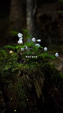 nature
