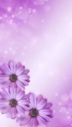 Someone 