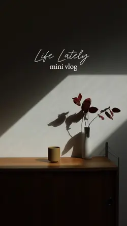 MINI VLOG
