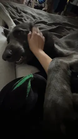 Sleeping in bed