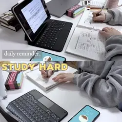 Study motivation 📎