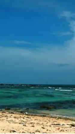 Baiz biển Phú quý