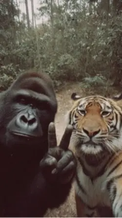 Homies