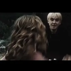 Harry Potter request