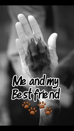 My Best Friend 