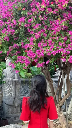 Ảnh tết