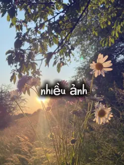 mẫu nhiều ảnh 