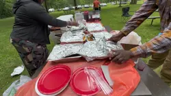 Picnic Vibes