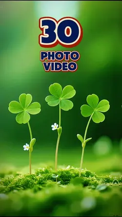 30 clip or photo 
