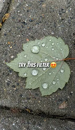Try this Filter