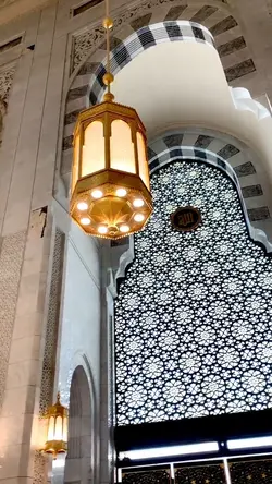 Qolbi fil madinah
