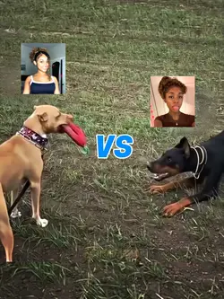 TEMPLATE "VS" | 