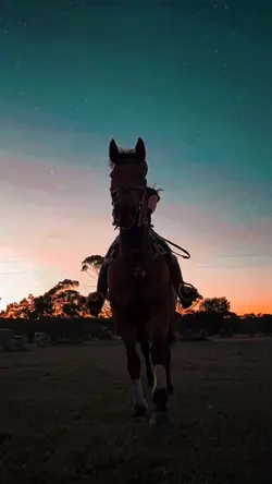 free edit for riders