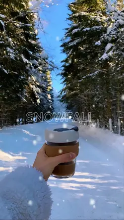 Snowfall 