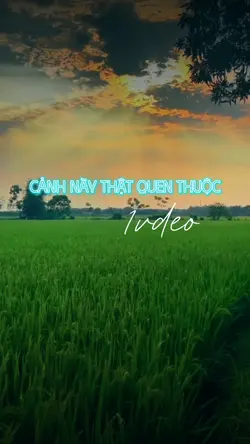 Cảnh này thật quen
