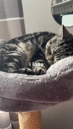 kitty💗