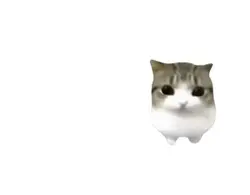 dan dan didididi