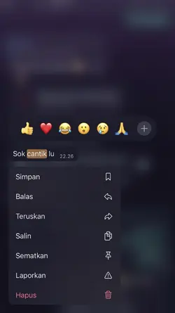 SOK CANTIK LU