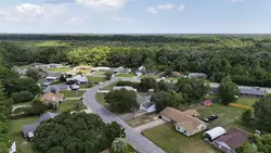 Real estate video