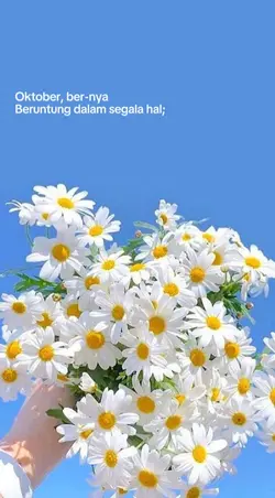 story wa