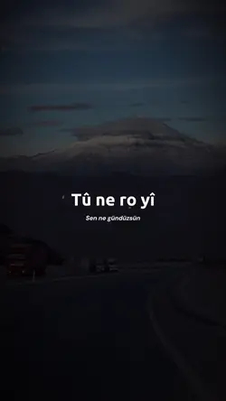 Tû ne ro yî