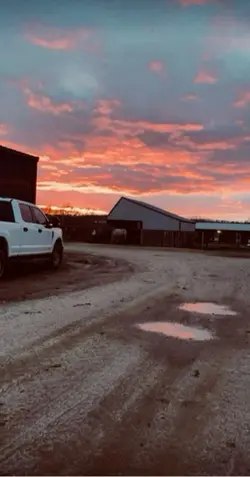 i love farm animals