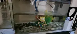 AQUARIUM 