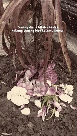 anak pertamaku 