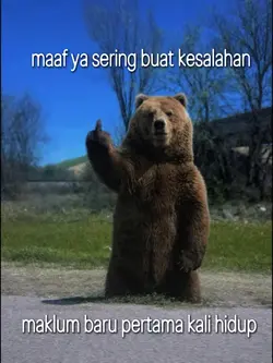 kata kata/quote lucu