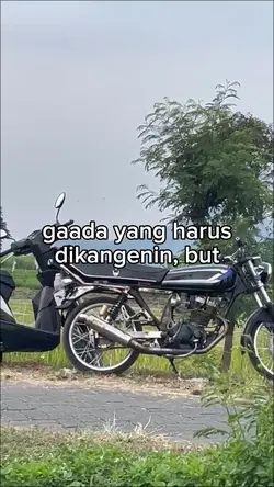 jadi gamon 