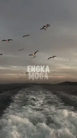 SLOWMO BUGIS