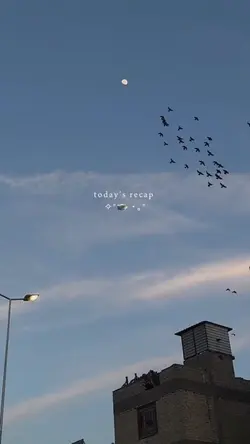 recap 13 video