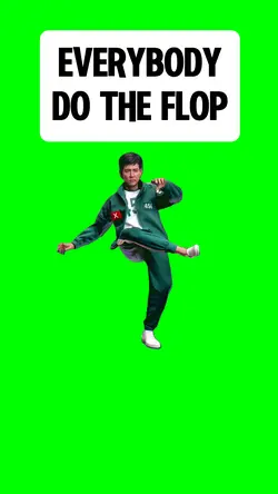 EVERYBODY DO THE FLO