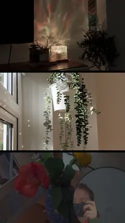 3layout 0.8x slowed