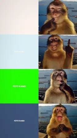 trend monyet