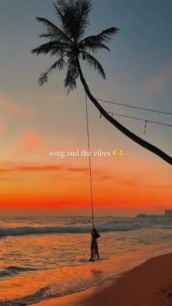 song and vibes