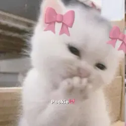 Pookie🎀