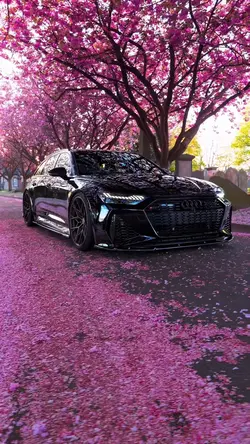 Audi Edit
