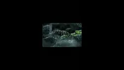 7video cinematic
