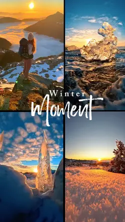 Winter Moment