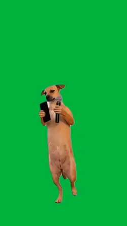 Dog singing 