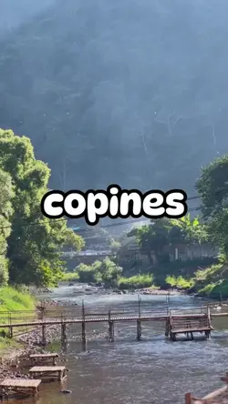 copines 