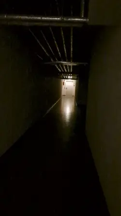 Backrooms?