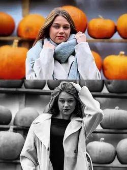 New Photo Transition