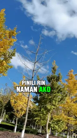 Basta pinili ako! 