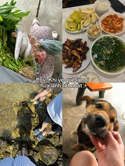 Quê là nơi chữa lành