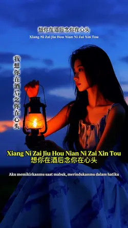 想你在酒后念你在心头