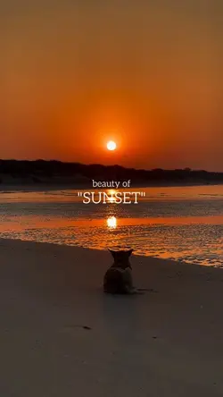 beauty of sunset