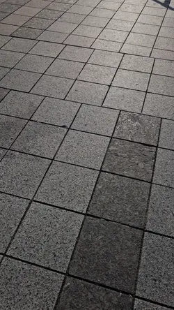Versuri