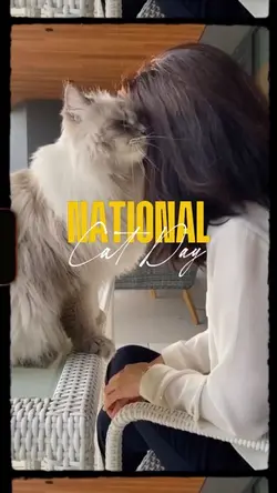 National cat day